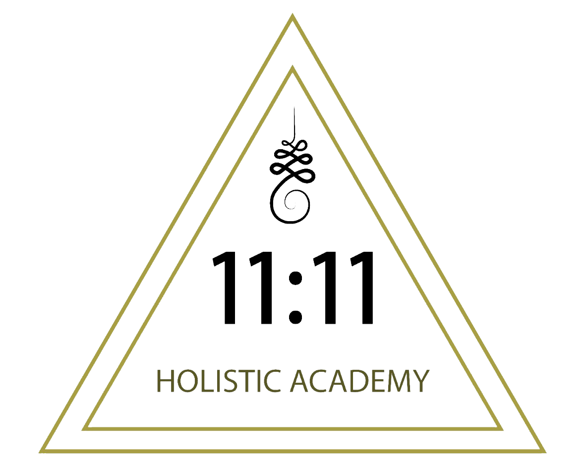 old.1111holisticacademy.com